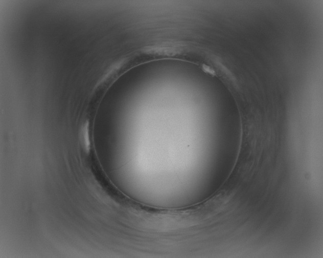 X0000051910020200506241455