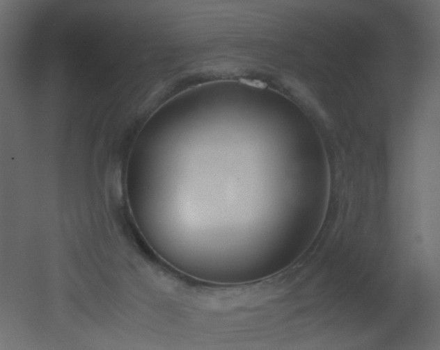 X0000051910021200506241455