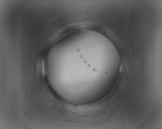 X0000051910022200506241455