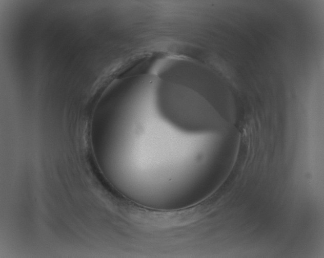 X0000051910023200506241455