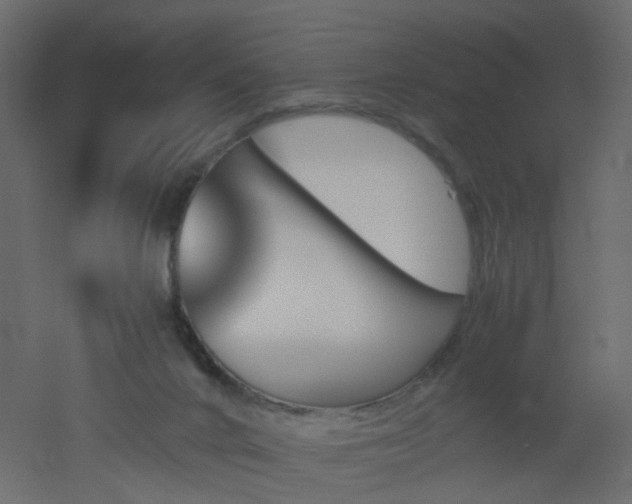 X0000051910024200506241454