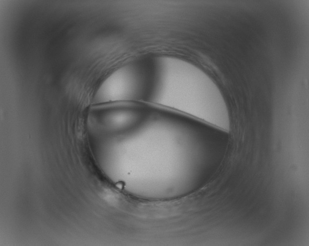 X0000051910025200506241454