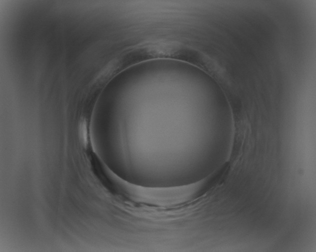 X0000051910027200506241454