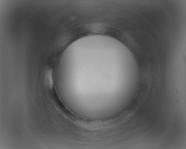 X0000051910028200506241454