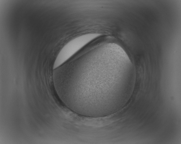 X0000051910029200506241454