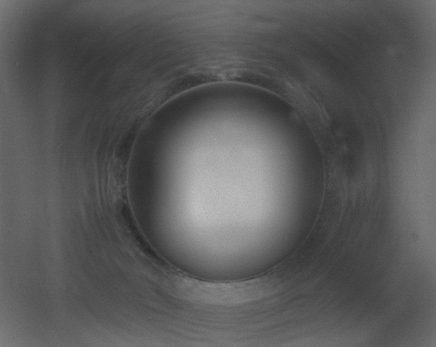 X0000051910030200506241454