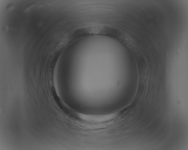 X0000051910031200506241454