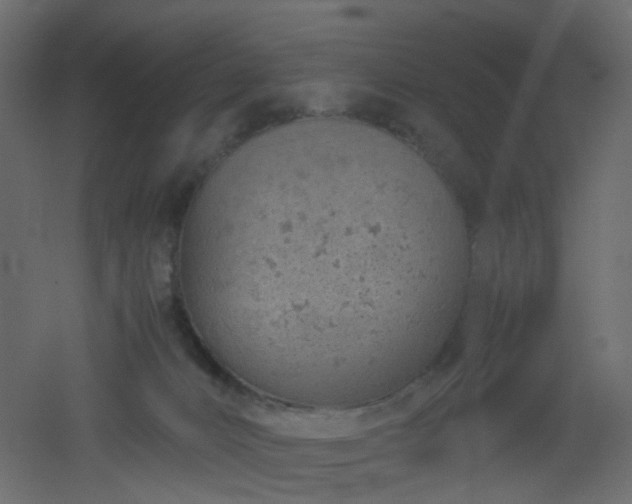 X0000051910032200506241454