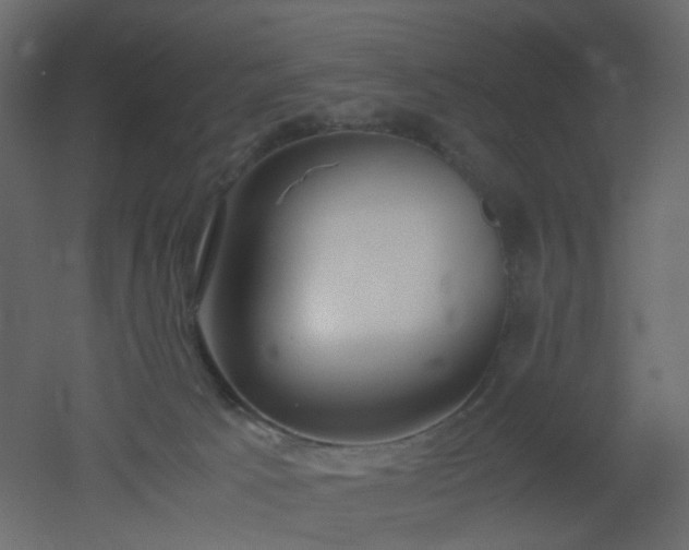 X0000051910033200506241454