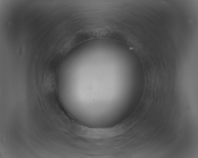 X0000051910034200506241454