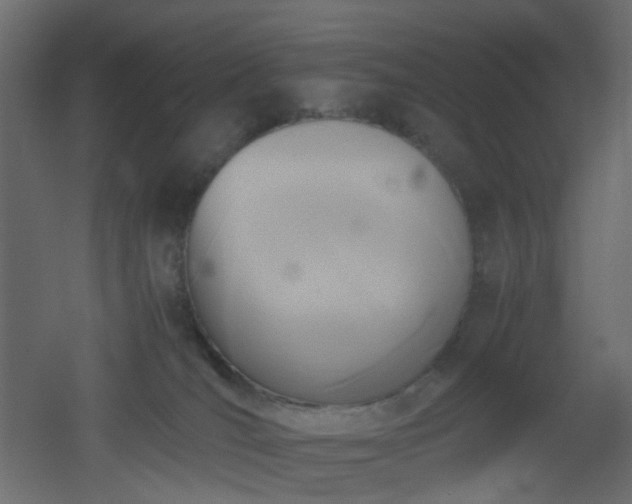 X0000051910036200506241454