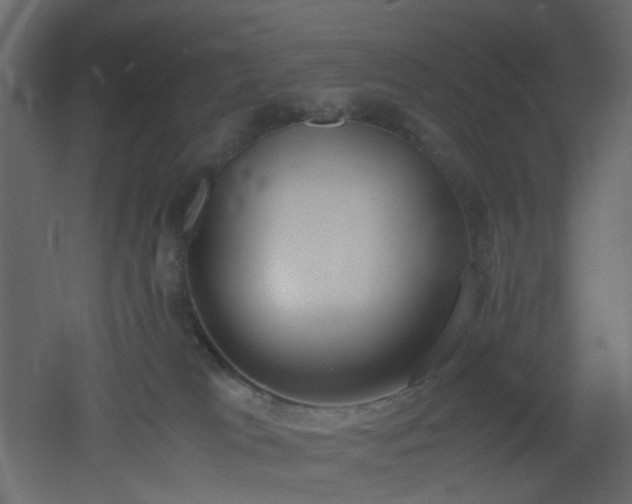 X0000051910037200506241454