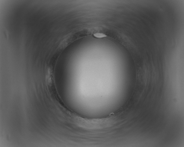 X0000051910038200506241454