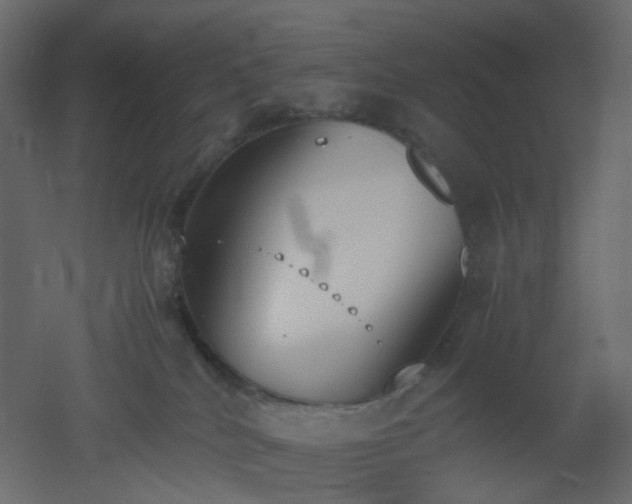 X0000051910040200506241454