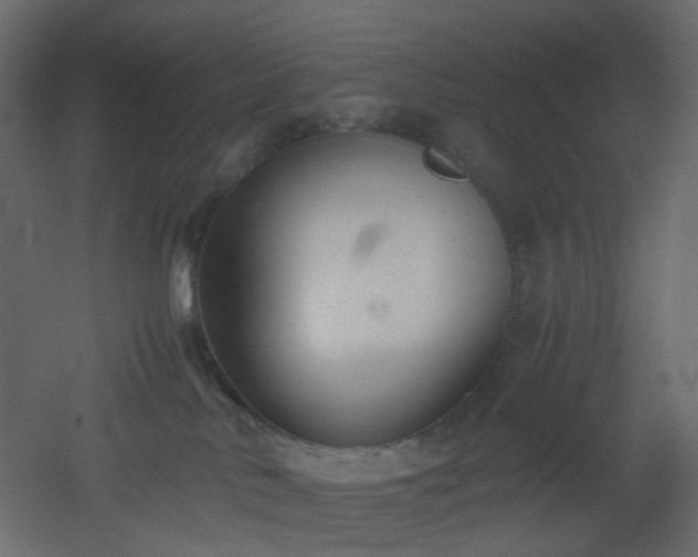 X0000051910042200506241454