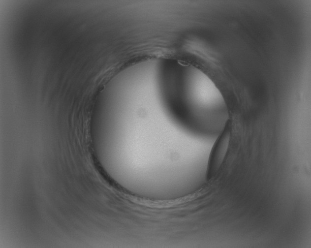 X0000051910043200506241454