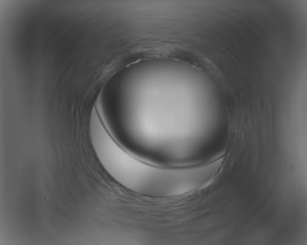 X0000051910045200506241454