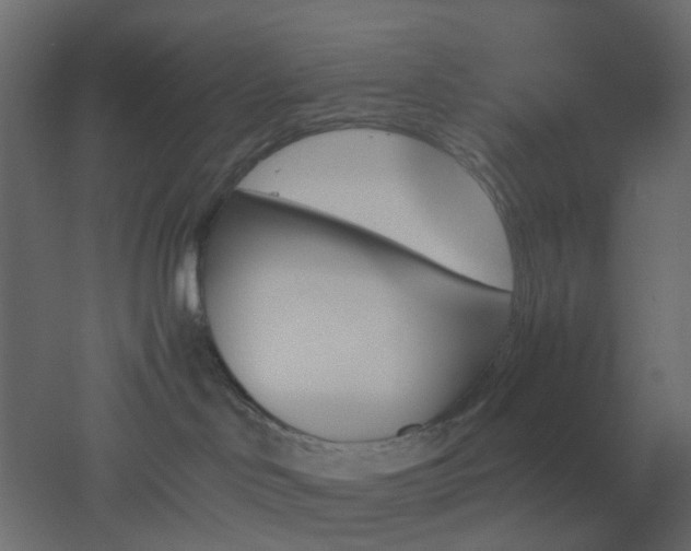 X0000051910046200506241454