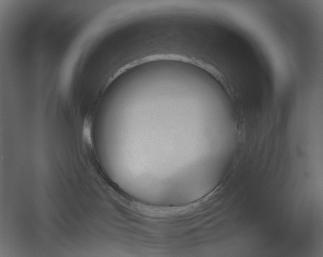 X0000051910047200506241454