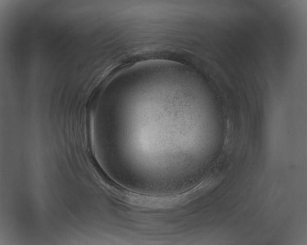 X0000051910048200506241454