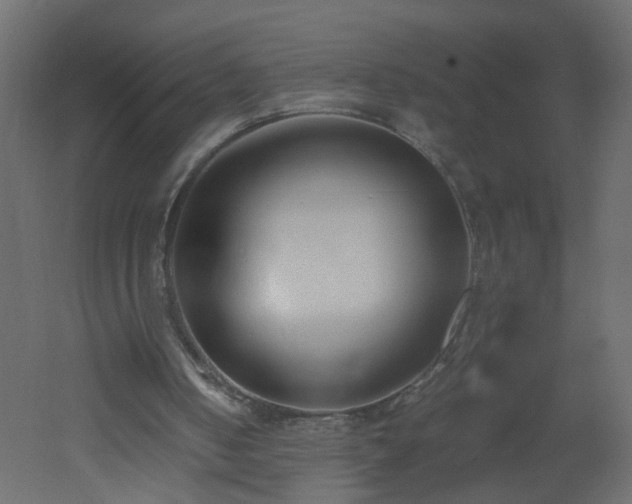 X0000051910050200506241453