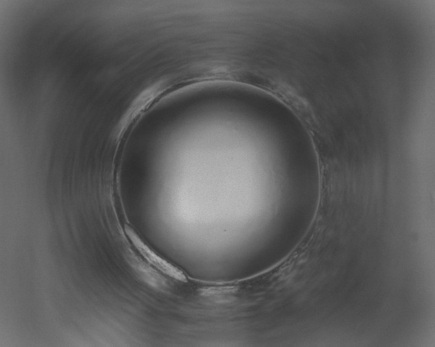 X0000051910051200506241453