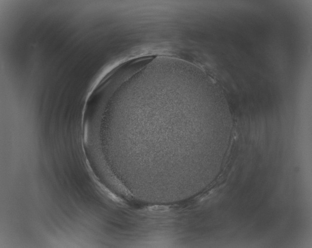 X0000051910052200506241453