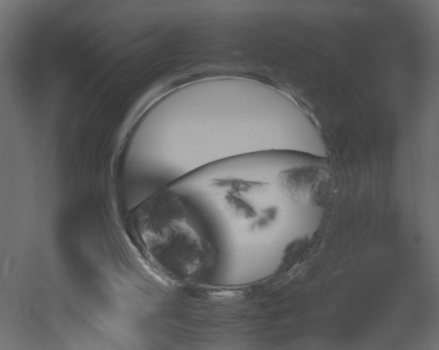 X0000051910053200506241453