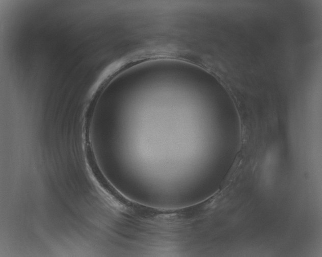 X0000051910054200506241453