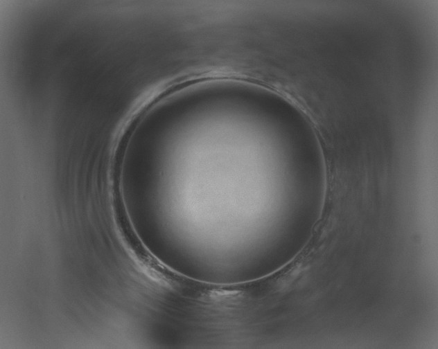 X0000051910055200506241453