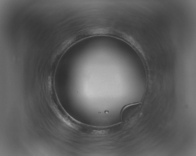 X0000051910057200506241453