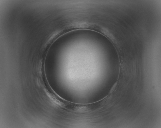 X0000051910058200506241453