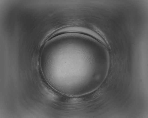 X0000051910059200506241453