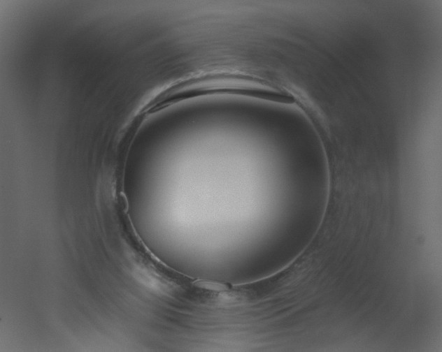 X0000051910060200506241453