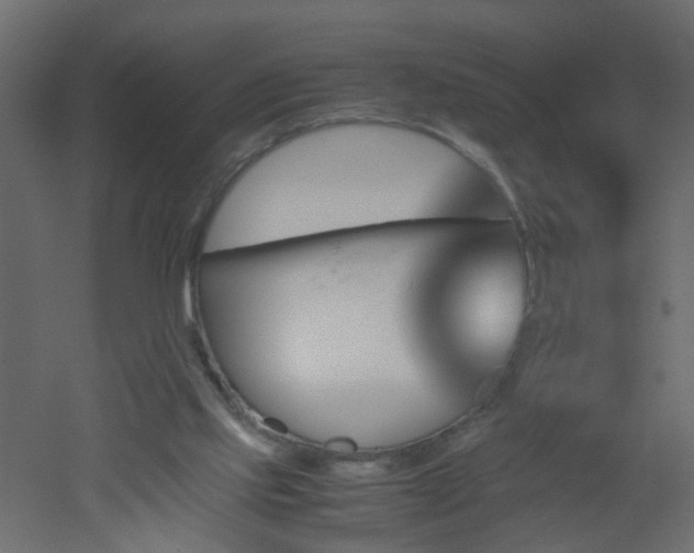 X0000051910061200506241453