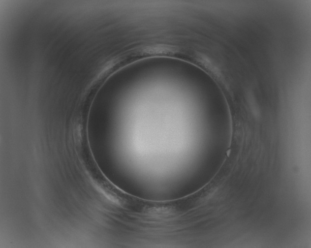 X0000051910063200506241454