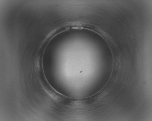 X0000051910064200506241454