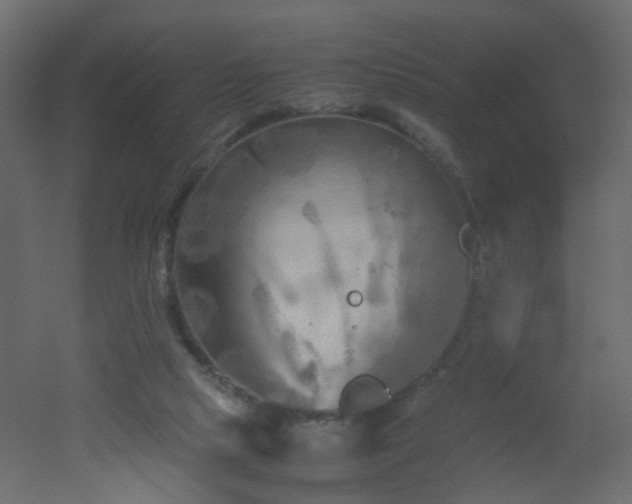 X0000051910065200506241454