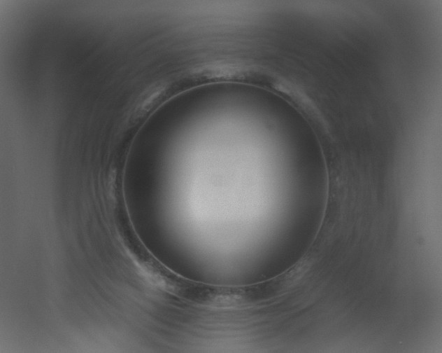 X0000051910066200506241454