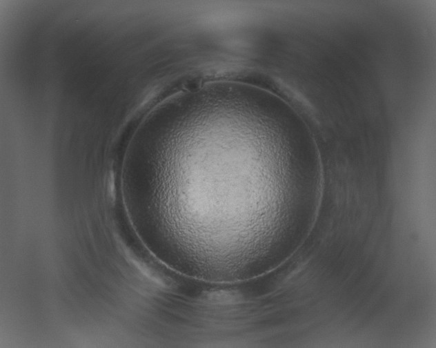 X0000051910067200506241454