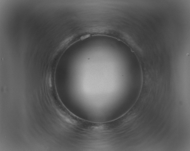 X0000051910068200506241454