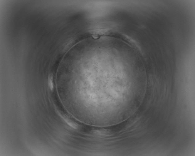 X0000051910069200506241454