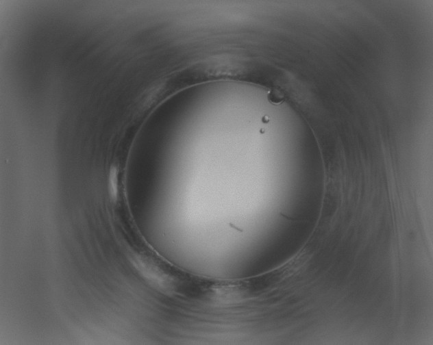 X0000051910070200506241454