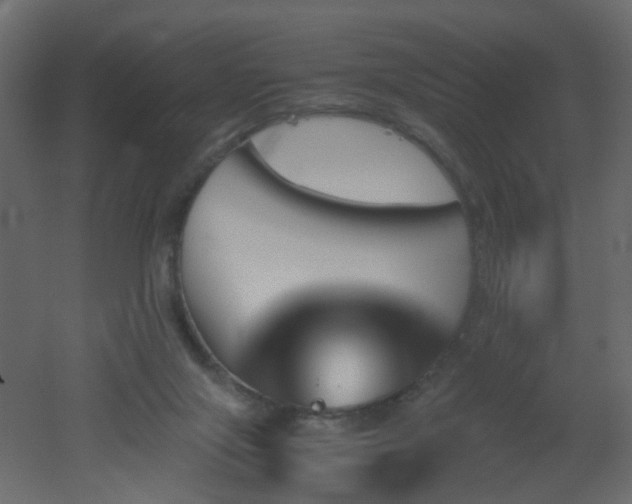 X0000051910071200506241454