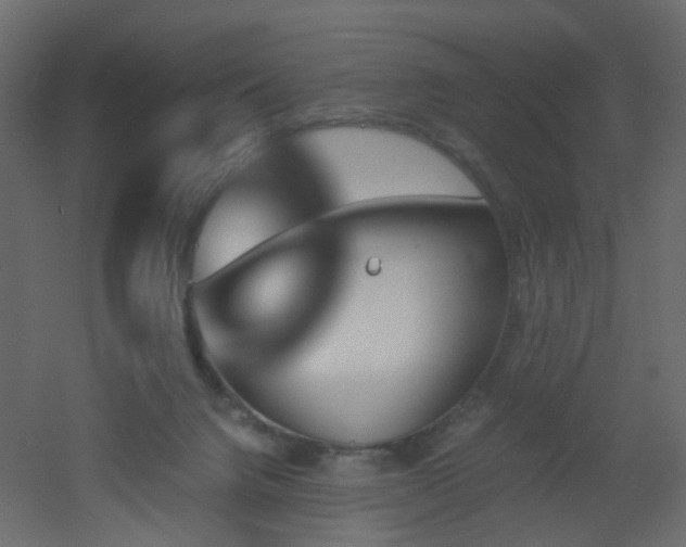 X0000051910072200506241454