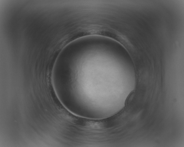 X0000051910073200506241454