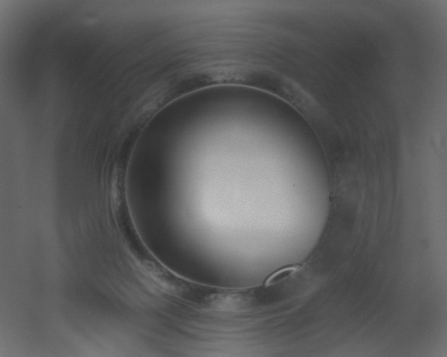 X0000051910074200506241454