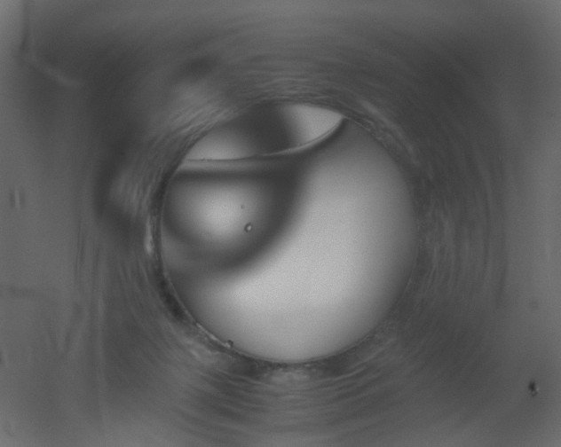 X0000051910075200506241454