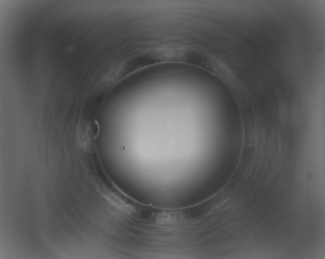 X0000051910077200506241454