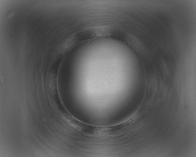 X0000051910078200506241454